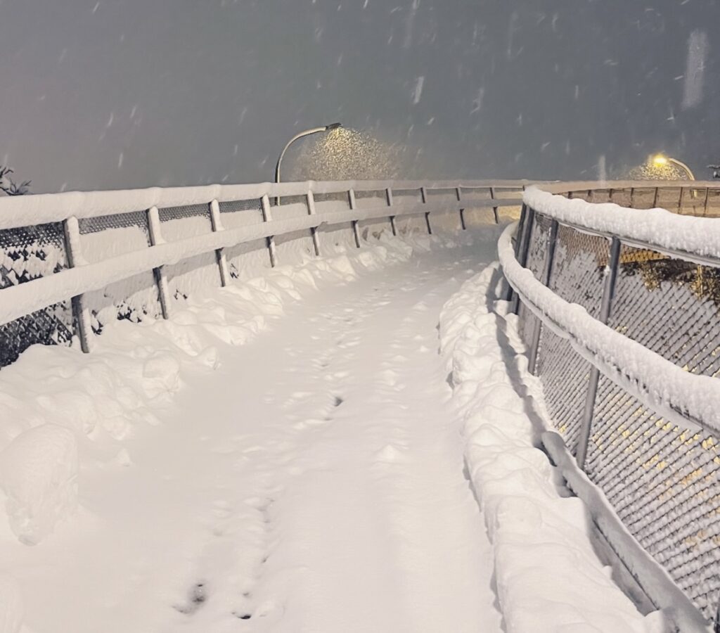 Neve Reykjavík