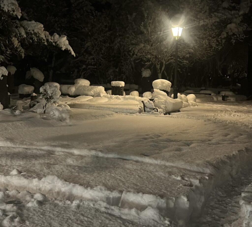 Neve Reykjavík