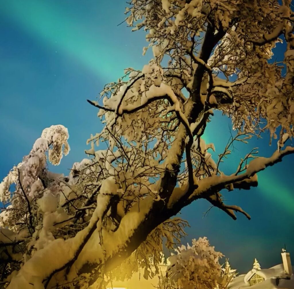 Neve Reykjavík