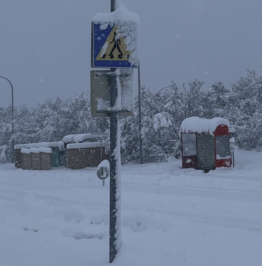 Neve Reykjavík