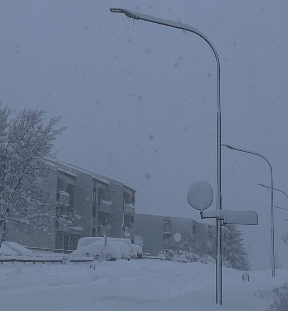 Neve Reykjavík