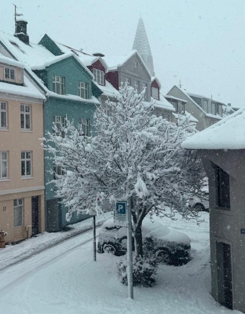 Neve Reykjavík