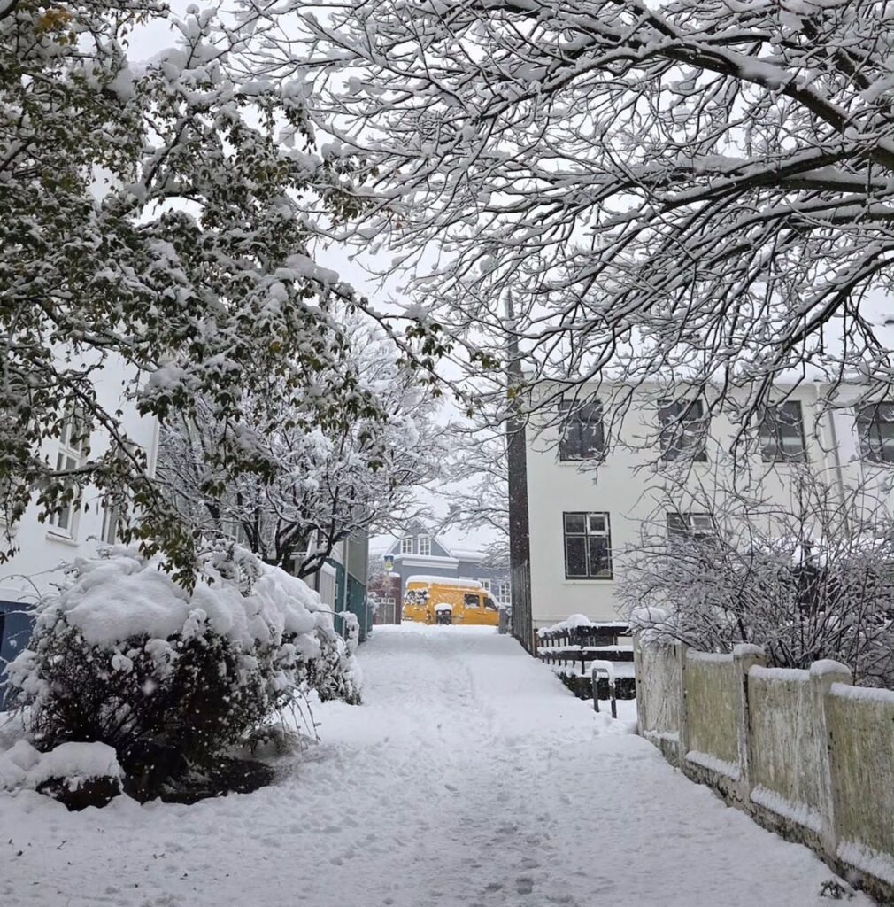 Neve Reykjavík
