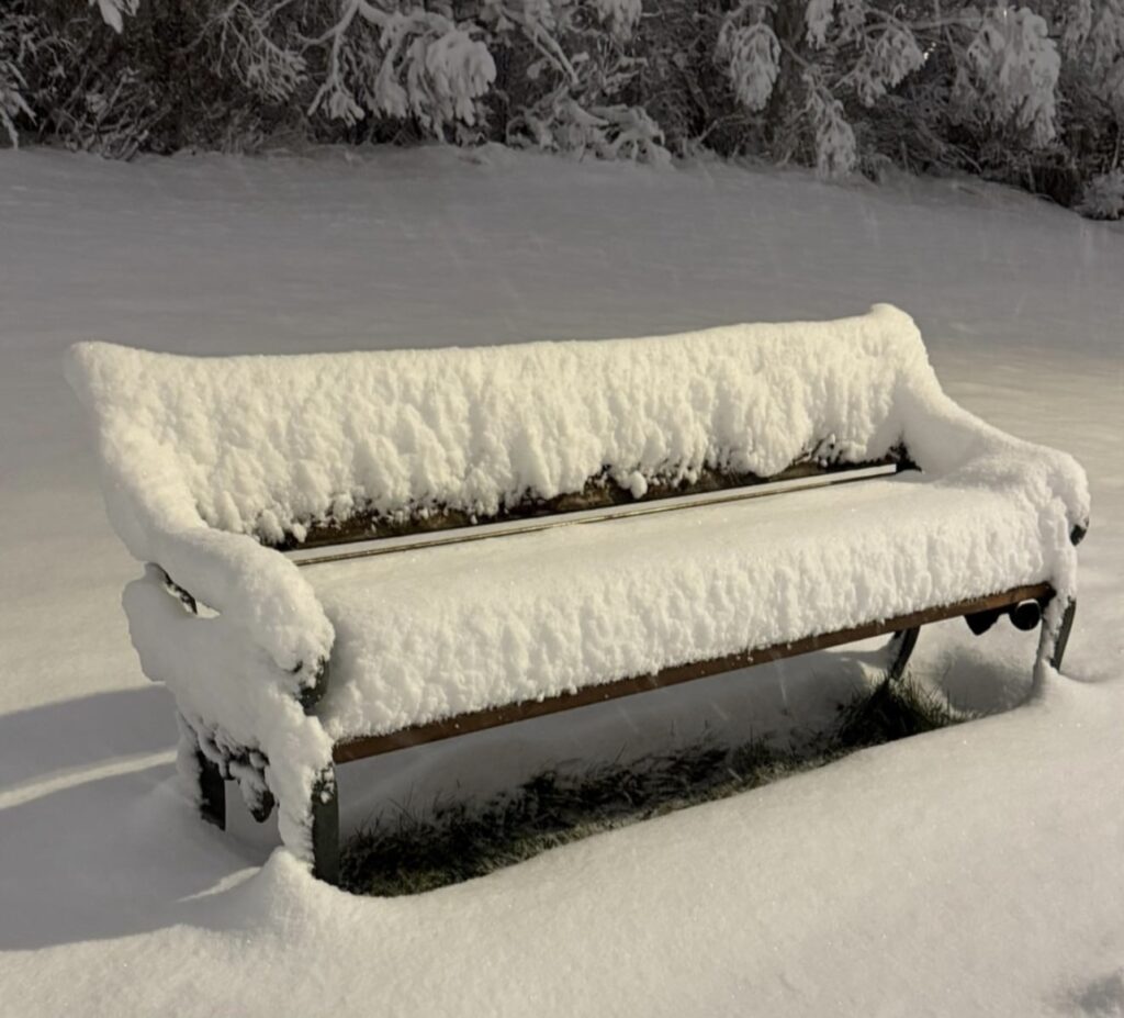 Neve Reykjavík