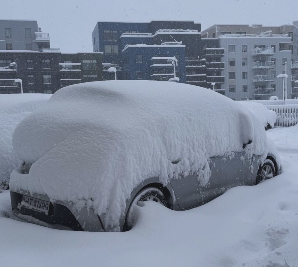 Neve Reykjavík