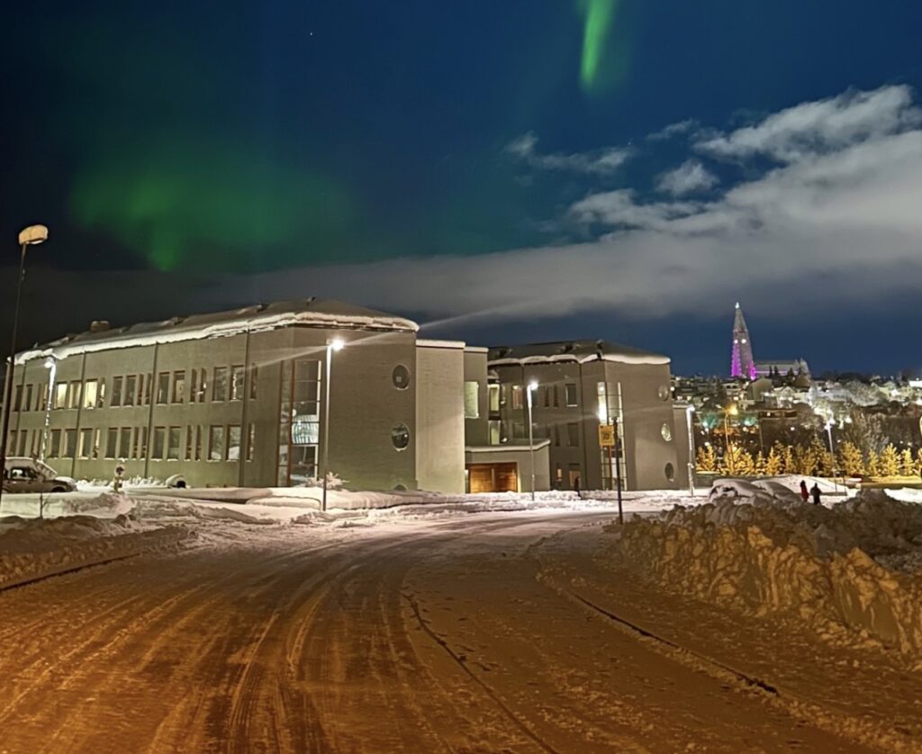 Neve Reykjavík