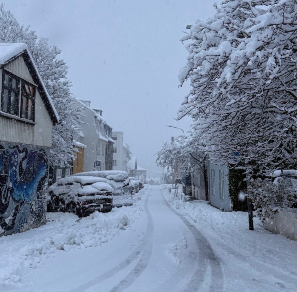 Neve Reykjavík