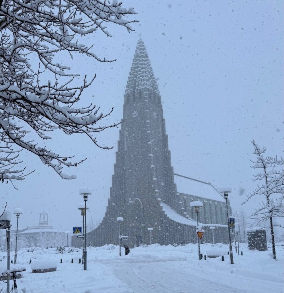 Neve Reykjavík