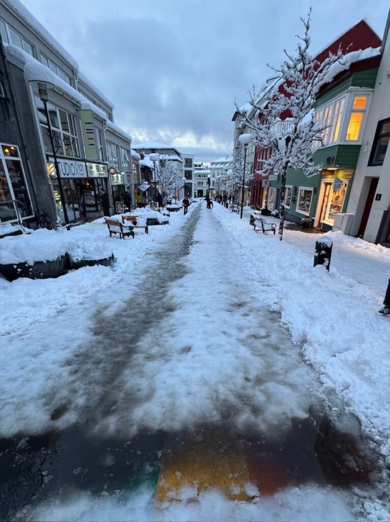 Neve Reykjavík