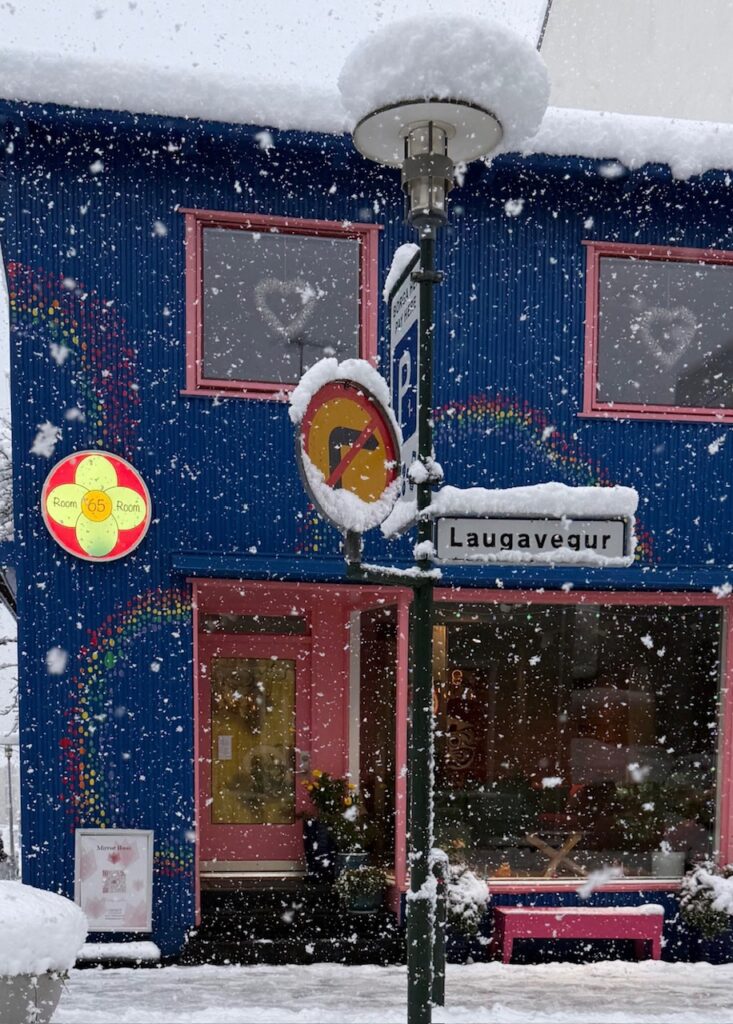 Neve Reykjavík