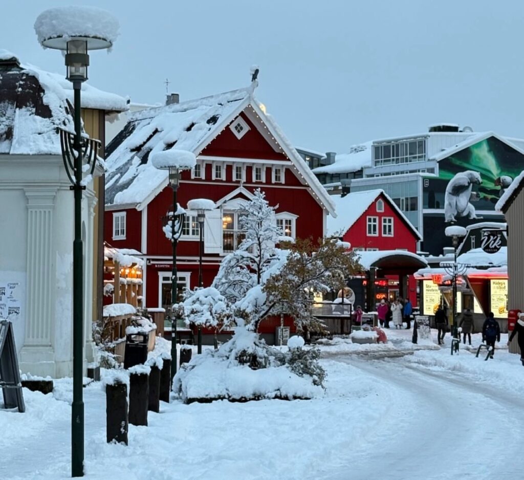 Neve Reykjavík