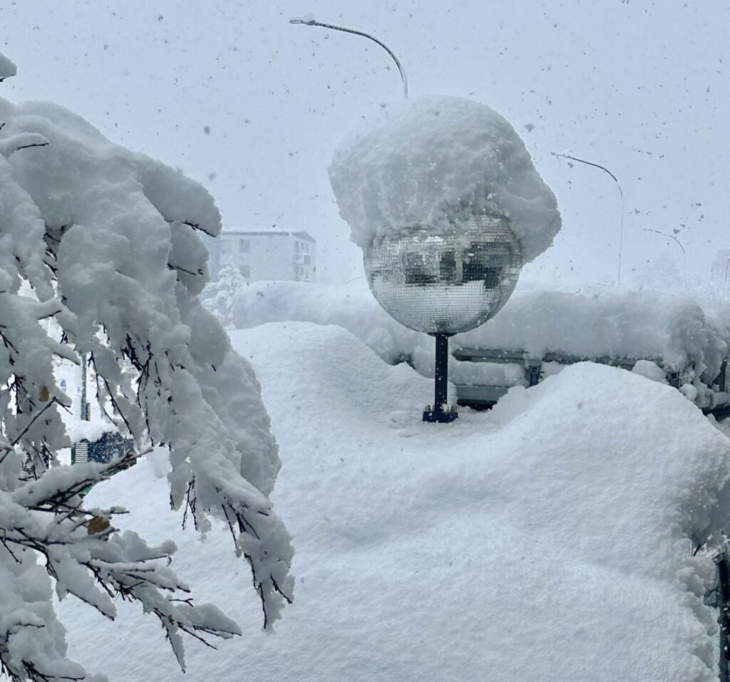 Neve Reykjavík