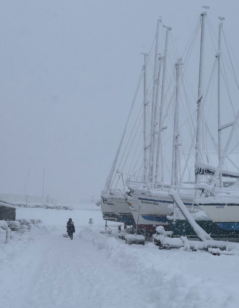 Neve Reykjavík