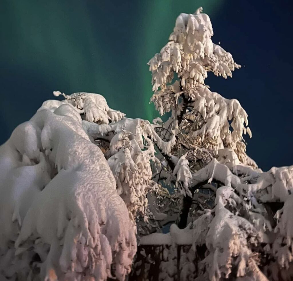 Neve Reykjavík