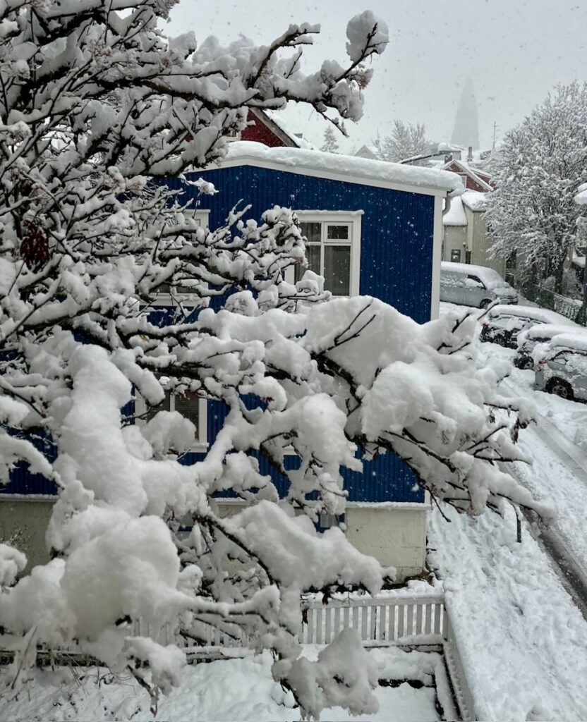 Neve Reykjavík