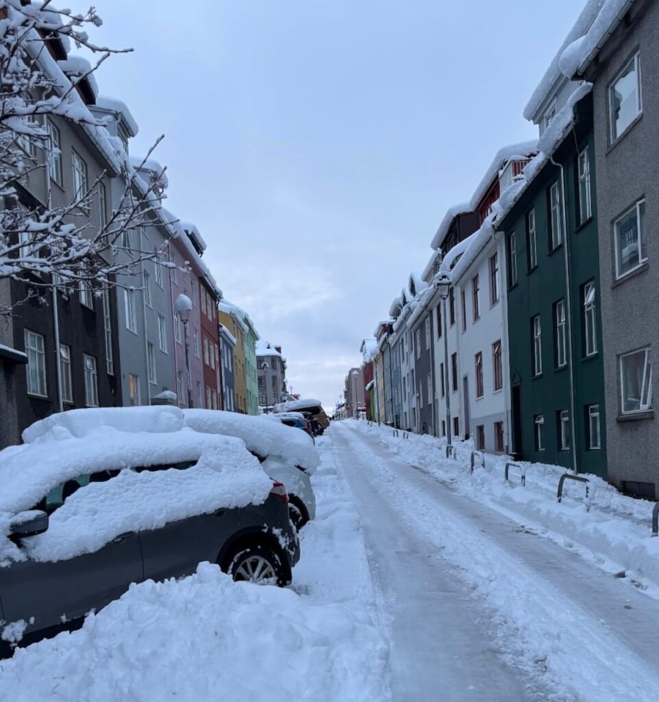 Neve Reykjavík