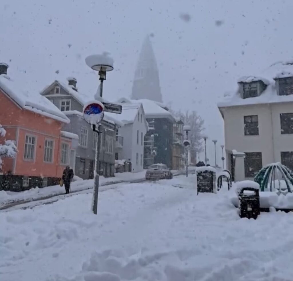 Neve Reykjavík