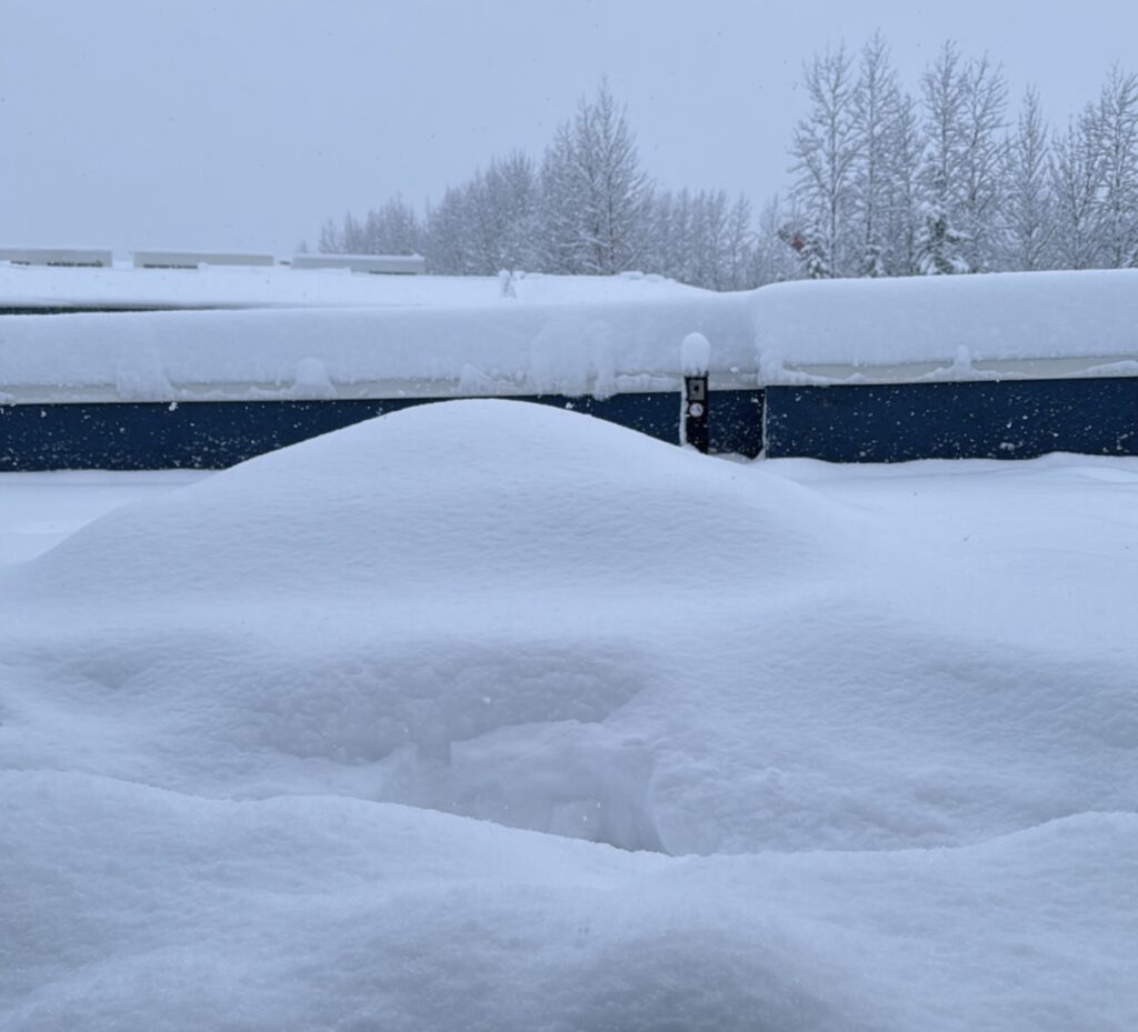 Neve Reykjavík