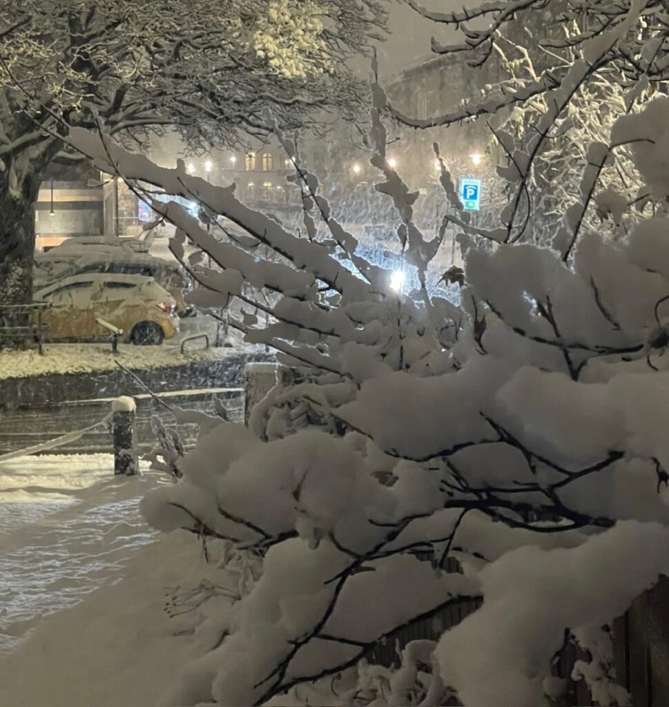 Neve Reykjavík