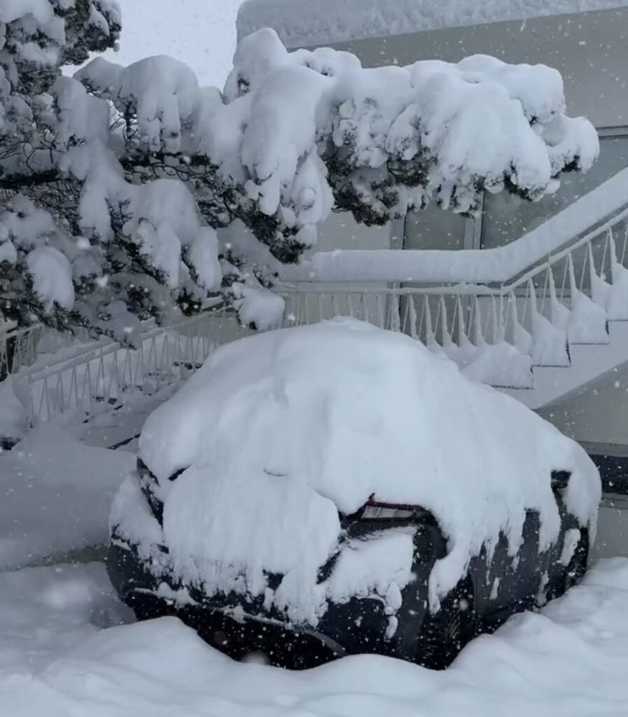 Neve Reykjavík