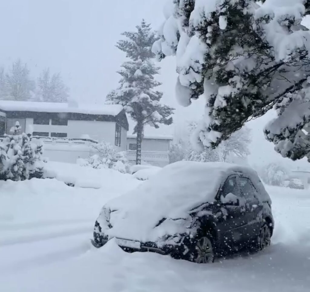 Neve Reykjavík