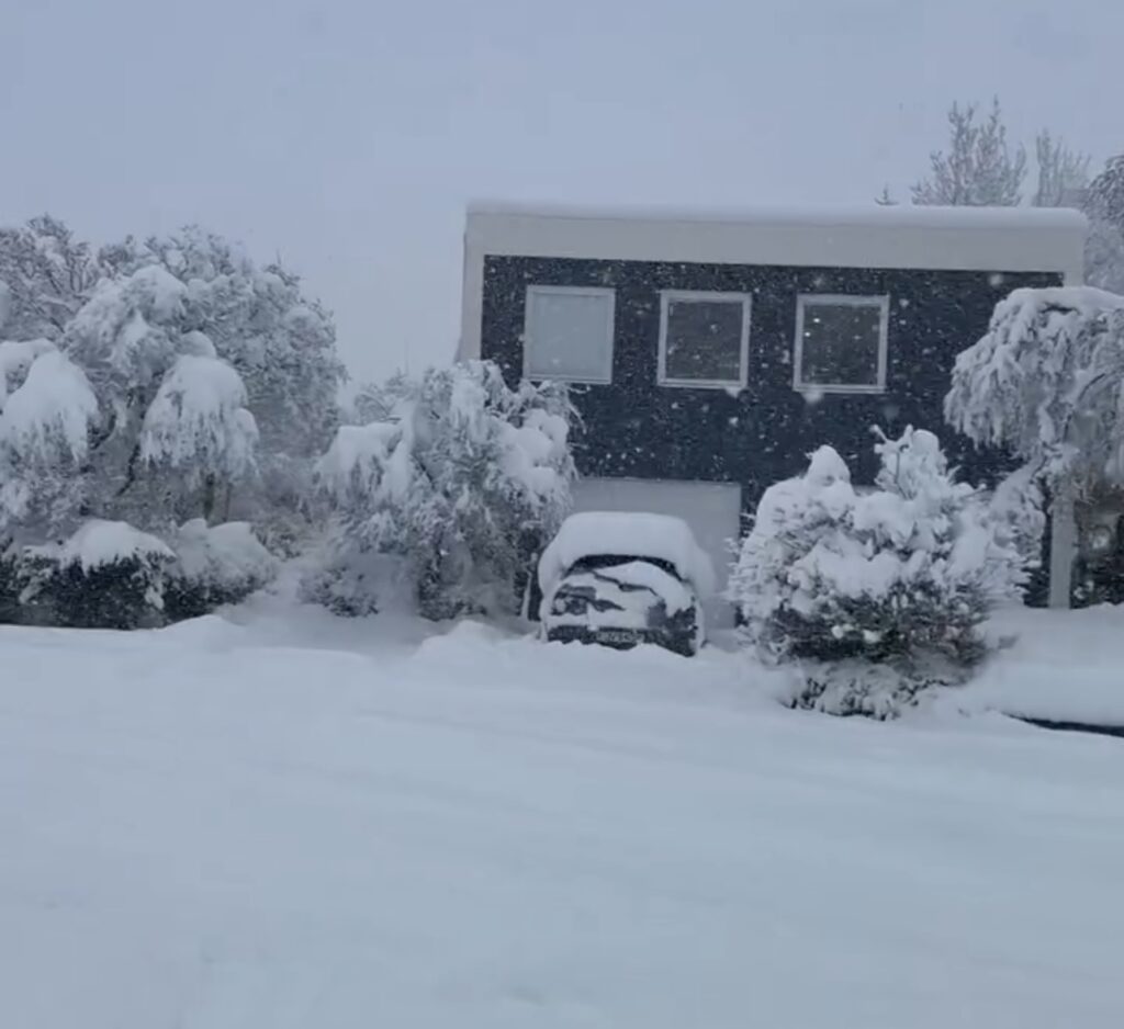 Neve Reykjavík