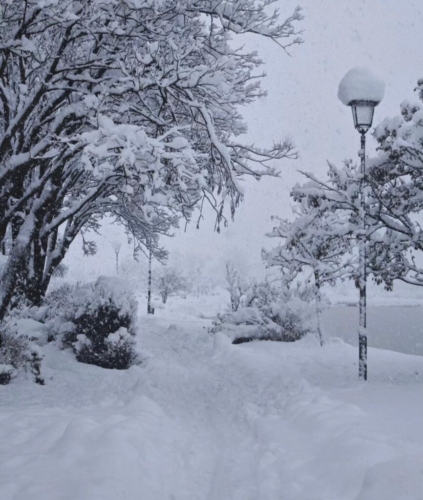 Neve Reykjavík