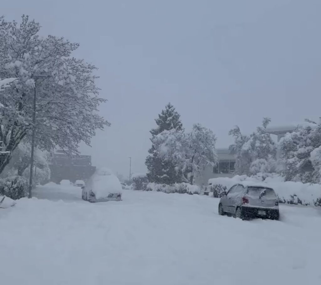 Neve Reykjavík