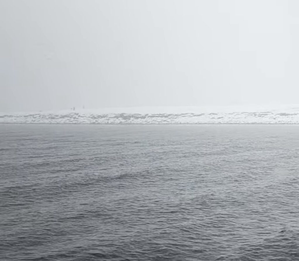 Neve Reykjavík