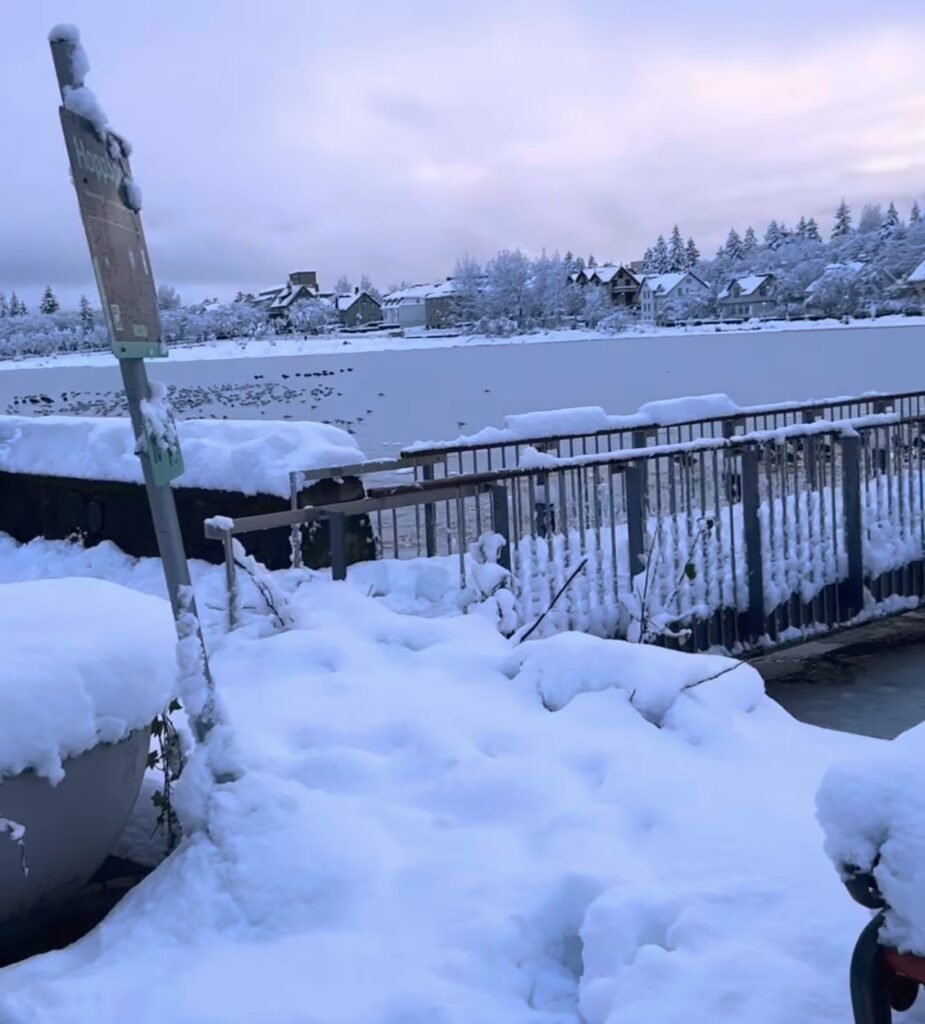 Neve Reykjavík