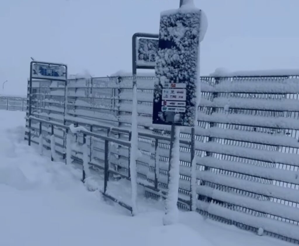Neve Reykjavík