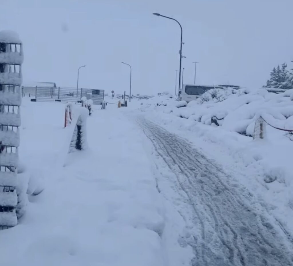 Neve Reykjavík