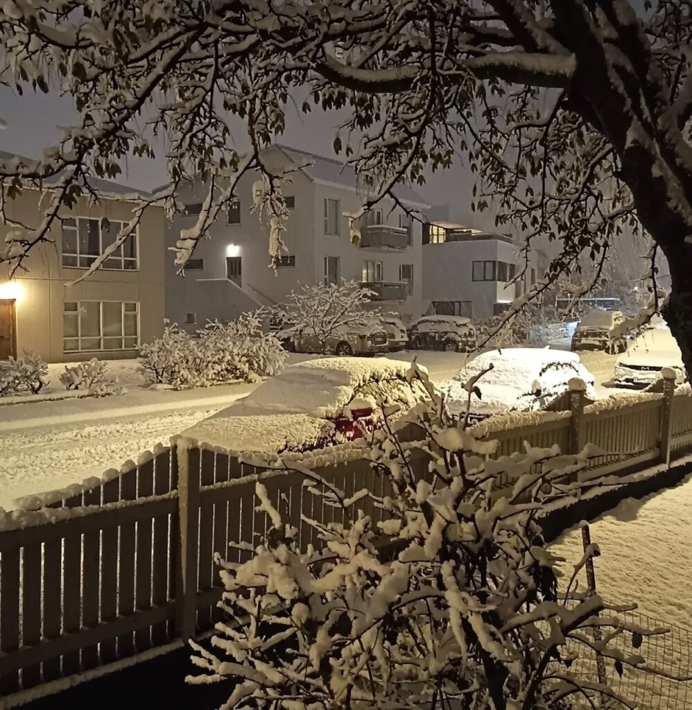 Neve Reykjavík