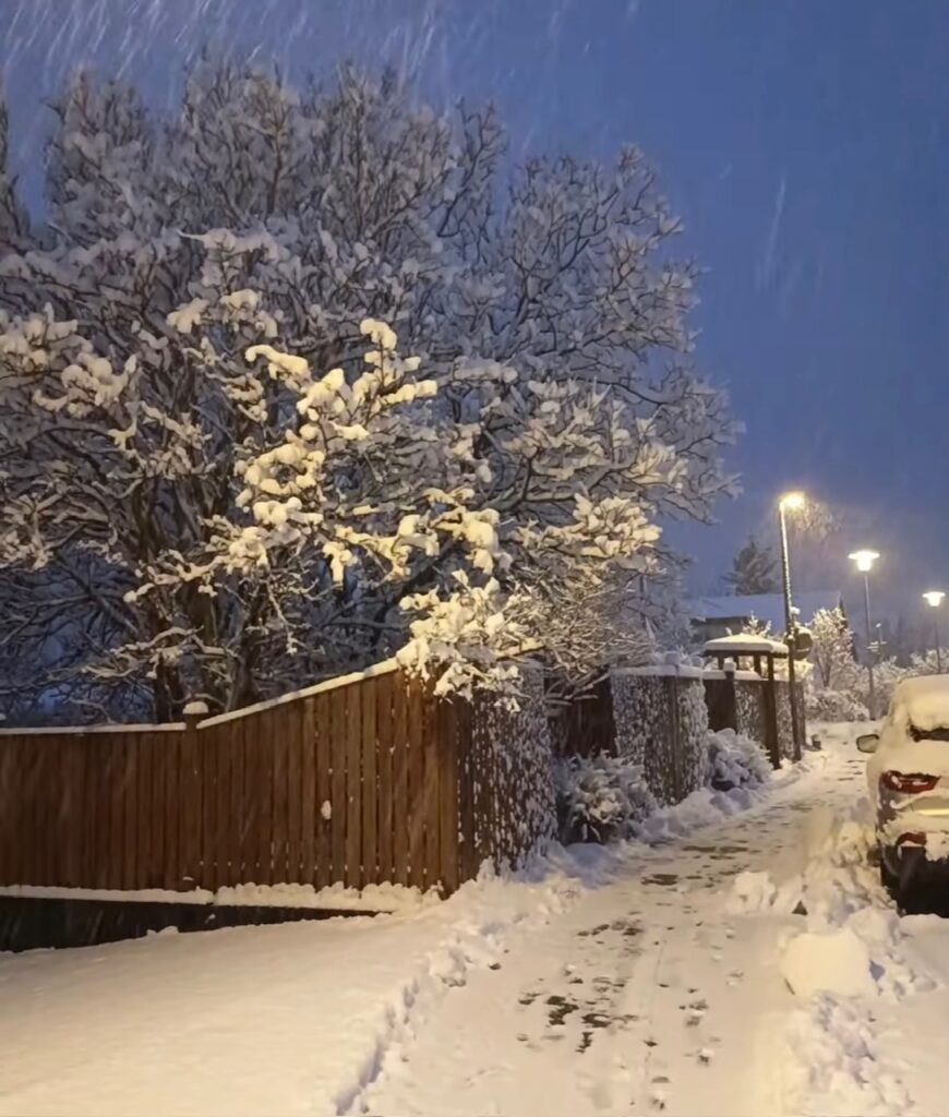 Neve Reykjavík