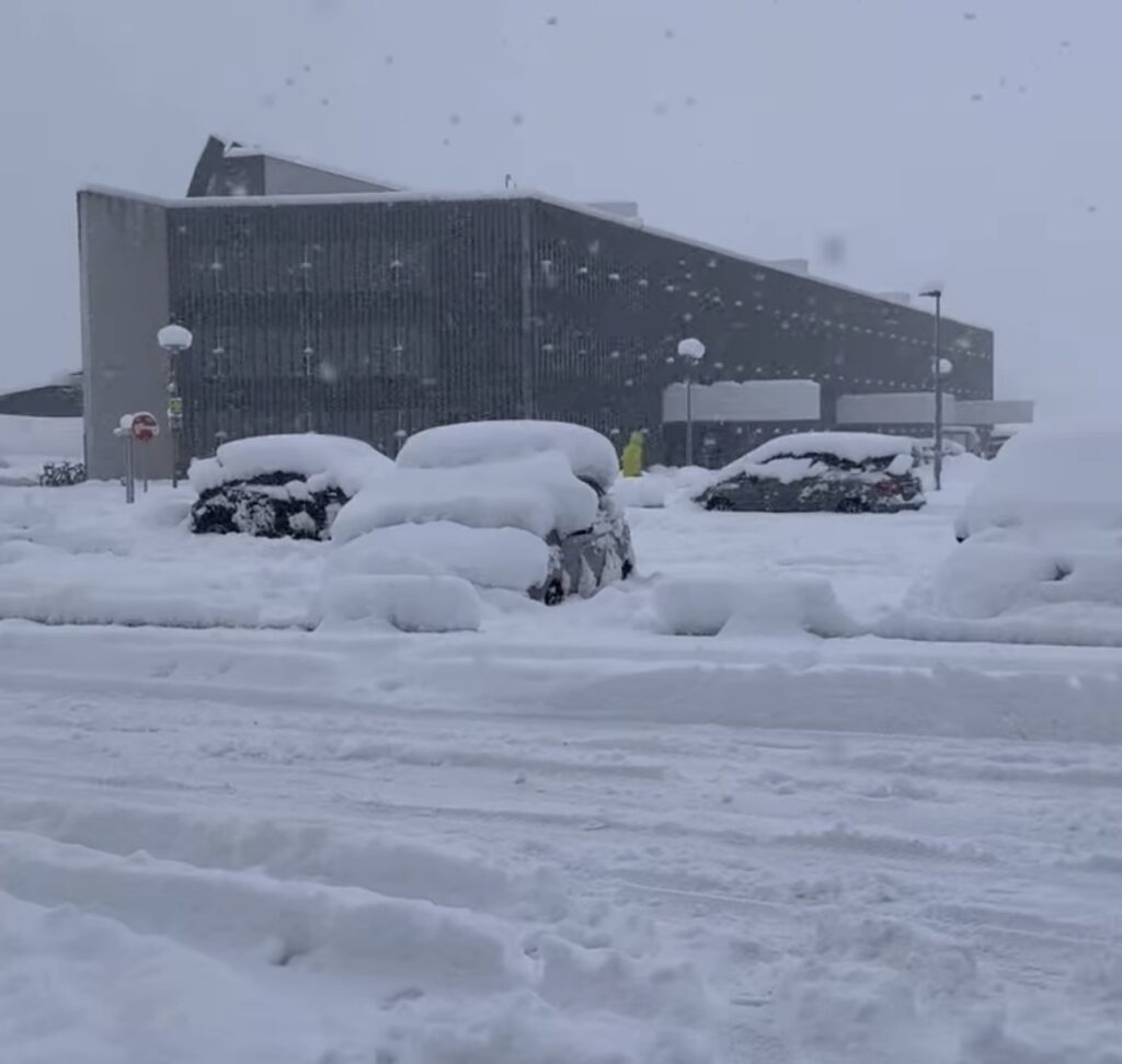 Neve Reykjavík