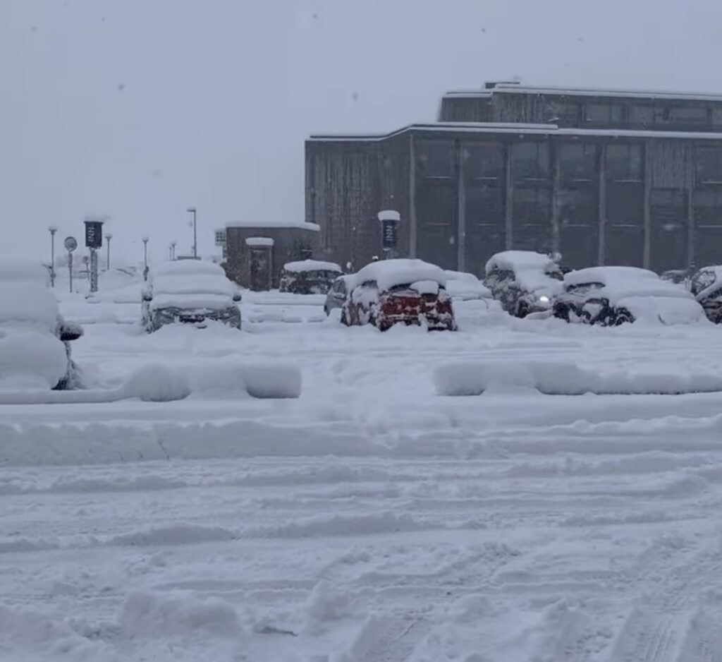 Neve Reykjavík
