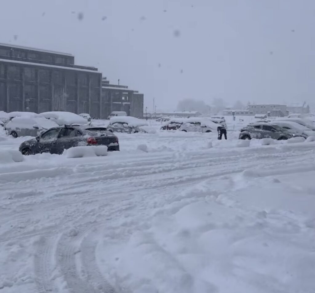 Neve Reykjavík