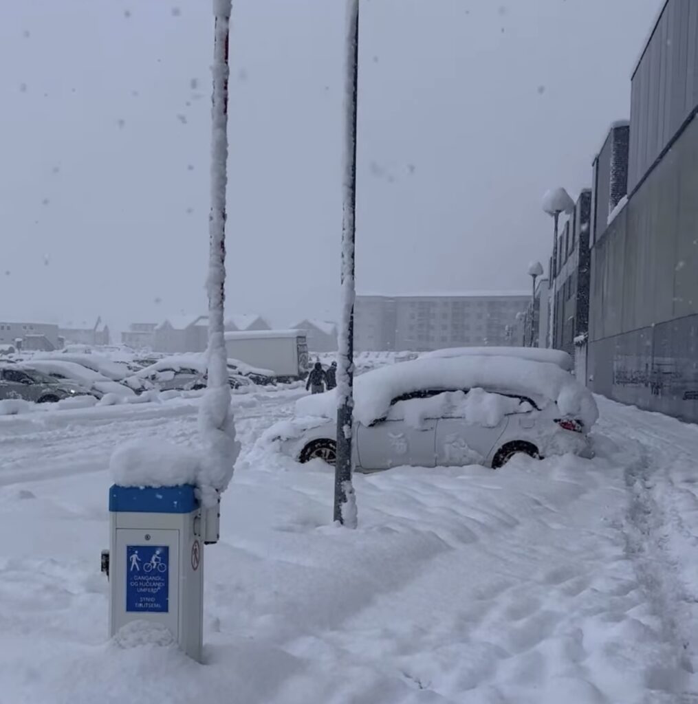Neve Reykjavík