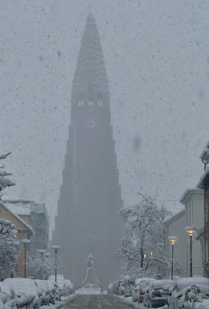 Neve Reykjavík
