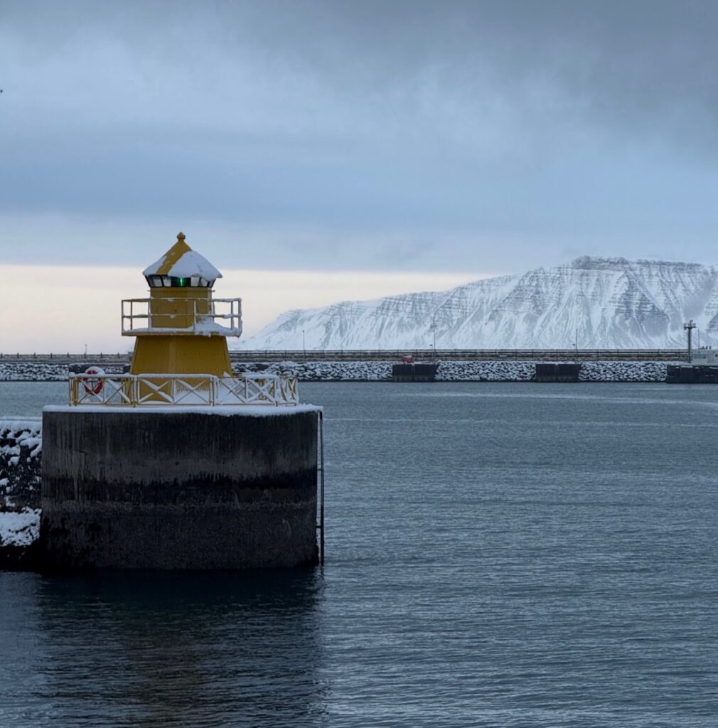 Neve Reykjavík