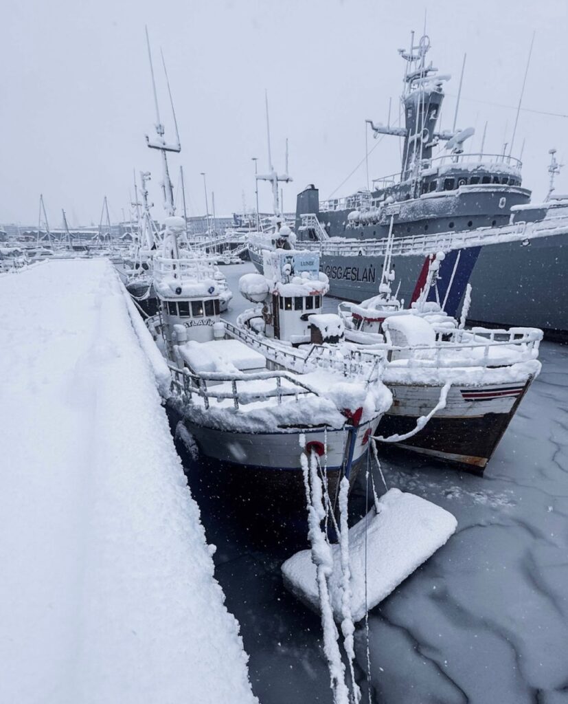 Neve Reykjavík
