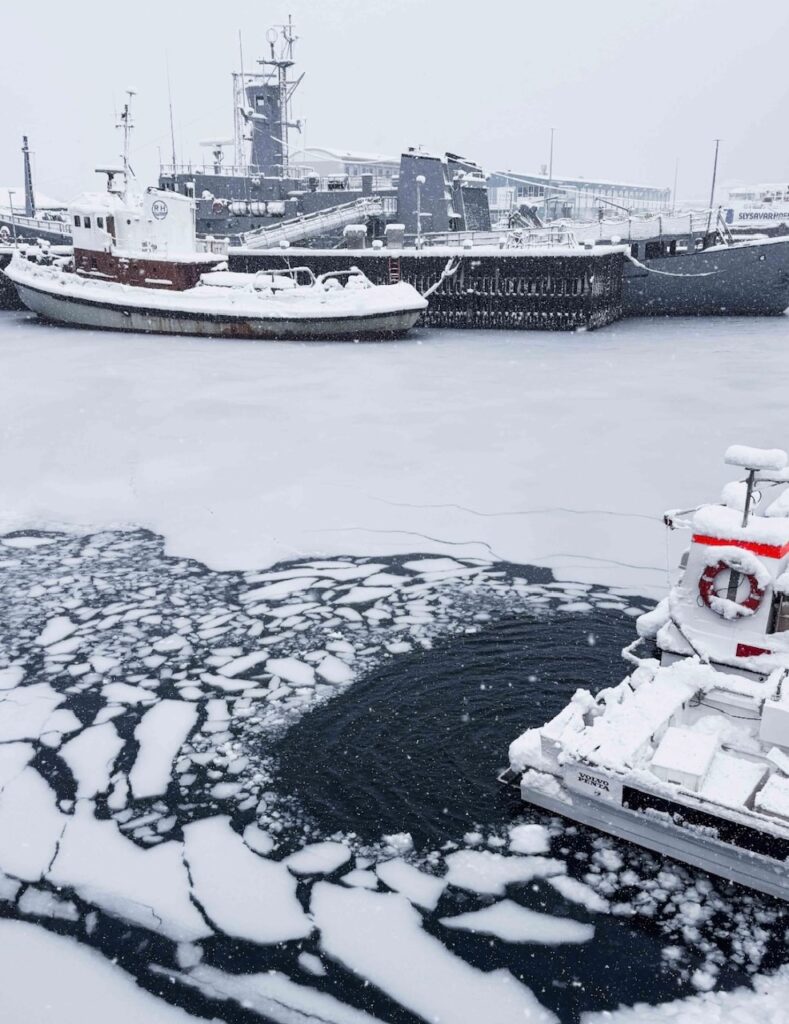 Neve Reykjavík