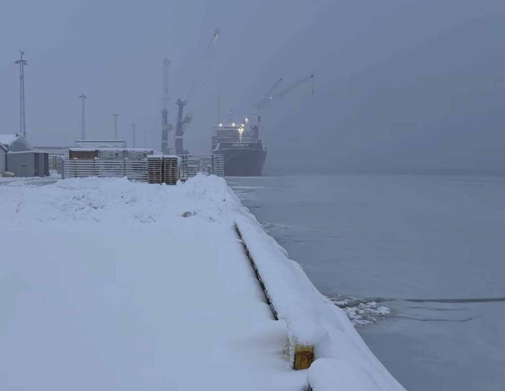 Neve Reykjavík