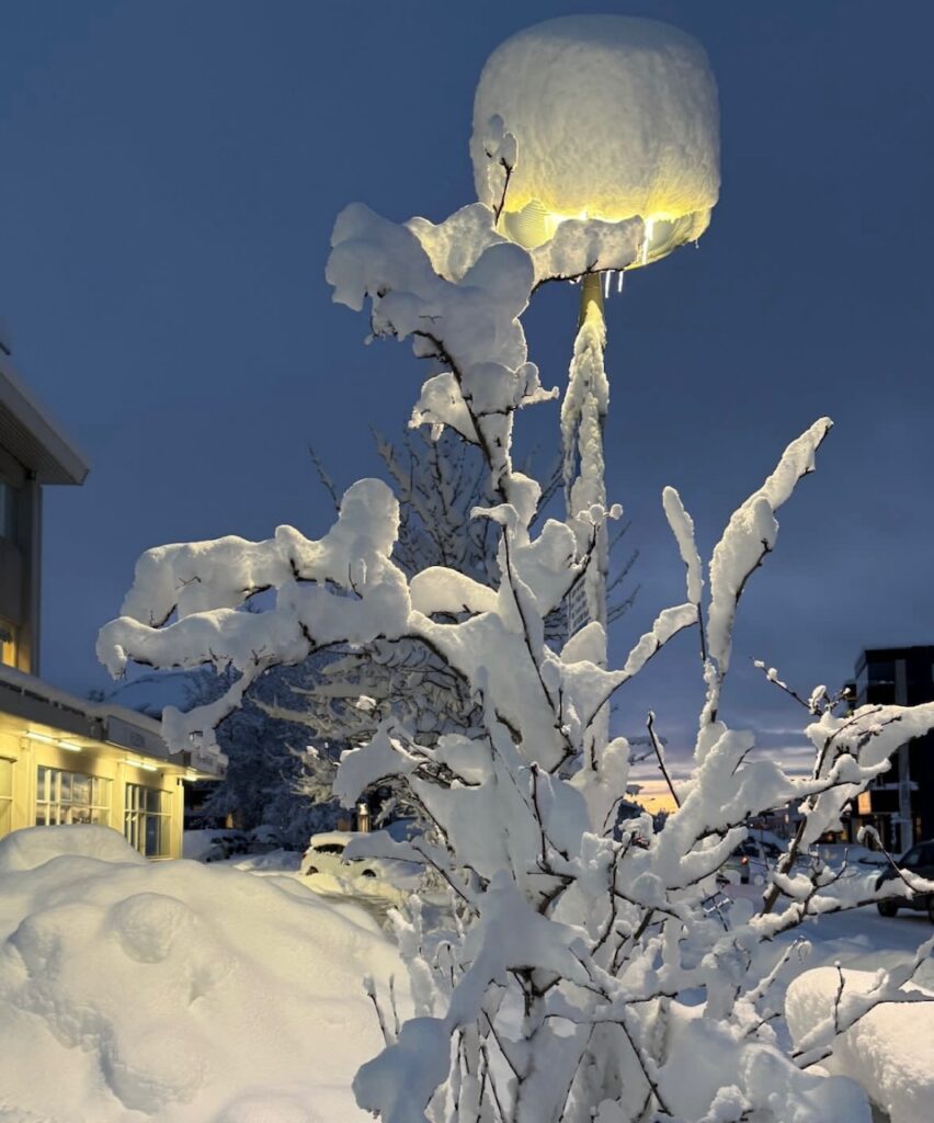 Neve Reykjavík