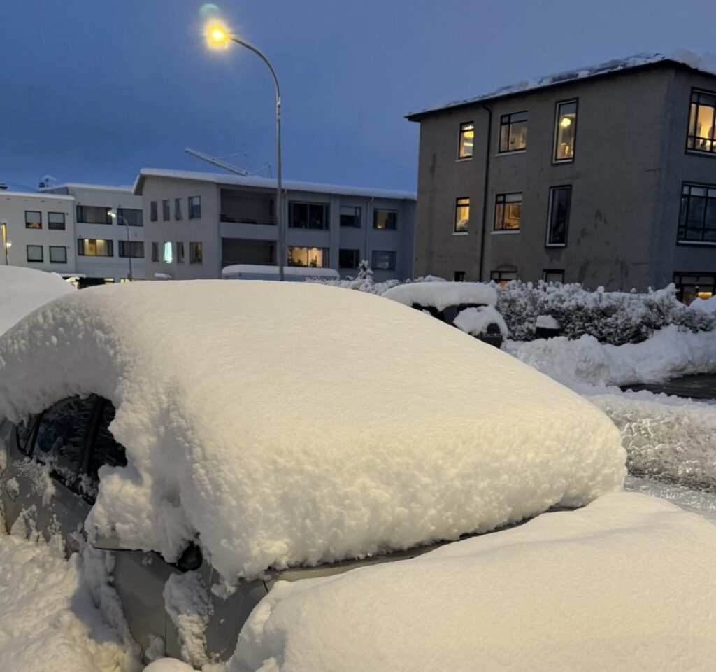 Neve Reykjavík