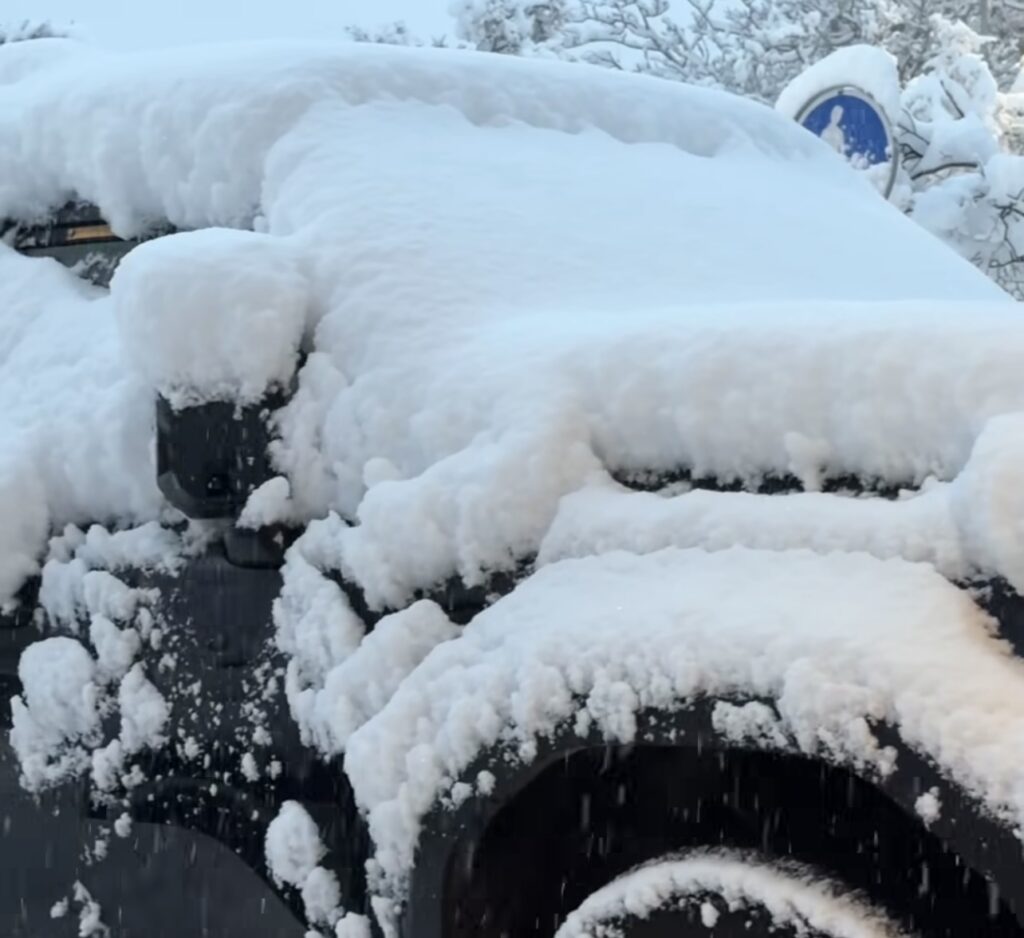 Neve Reykjavík