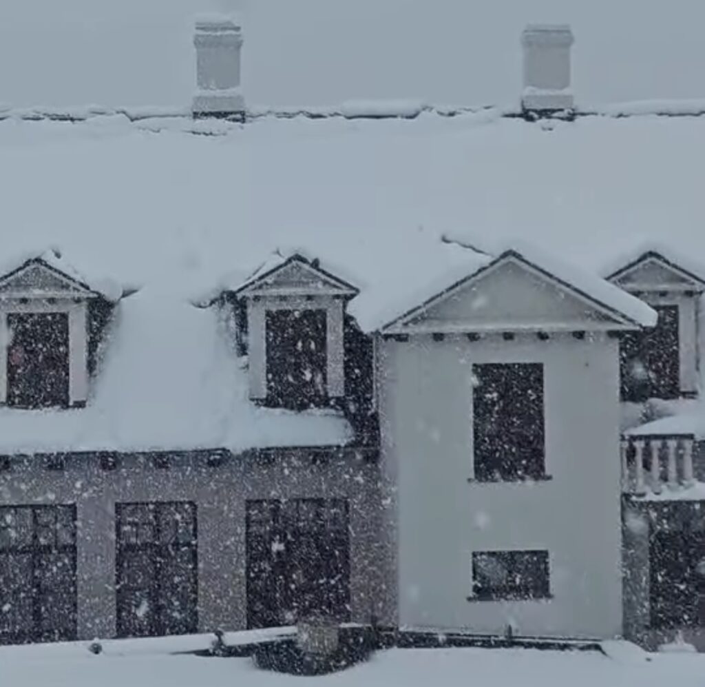 Neve Reykjavík