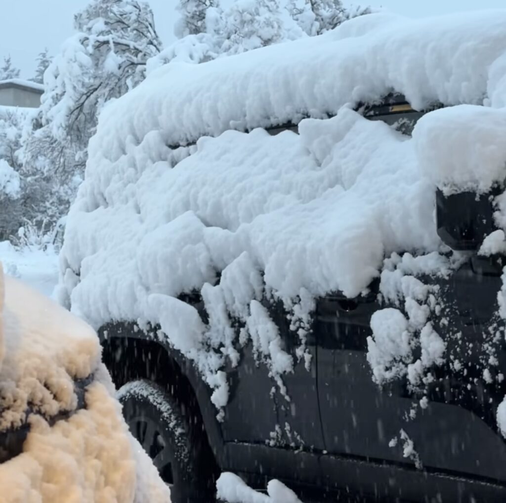 Neve Reykjavík