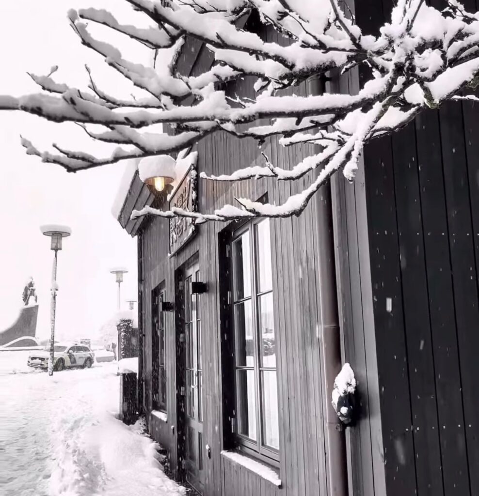 Neve Reykjavík