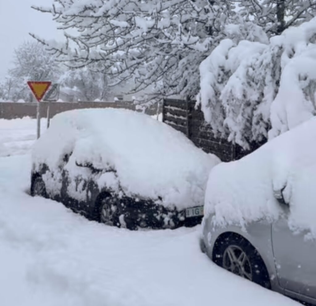 Neve Reykjavík